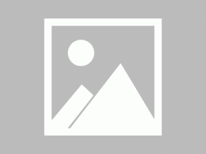 梧桐树下相思成空（69集）